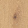 Eiche 51 cashmere
