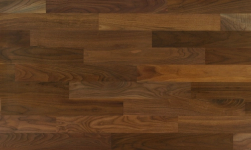 Nussbaum amerikanisch natur standard